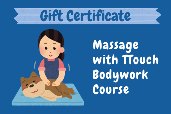 Massage TTouch Course Gift Certificate