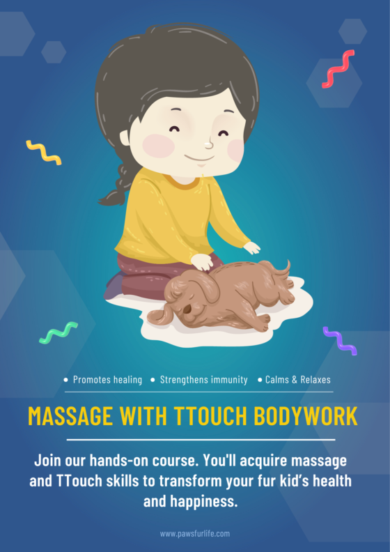 (website) Massage TTouch Course