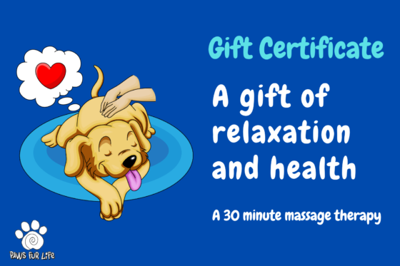 Massage Gift Certificate
